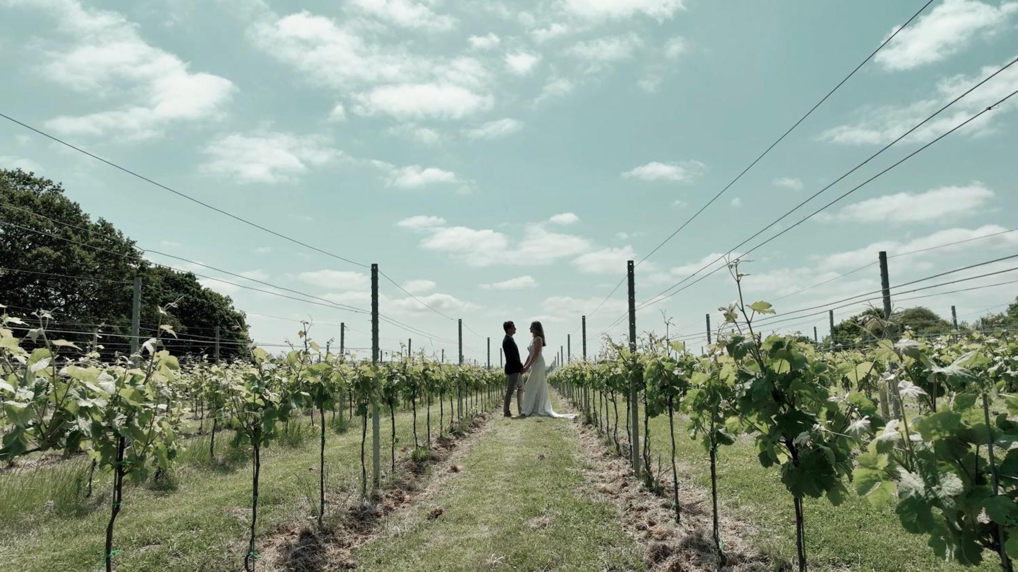 Vila Pinkmead Estate And Vineyard Osborne  Exteriér fotografie